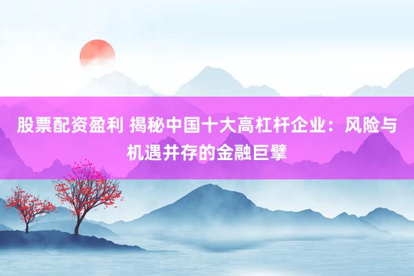 股票配资盈利 揭秘中国十大高杠杆企业：风险与机遇并存的金融巨擘