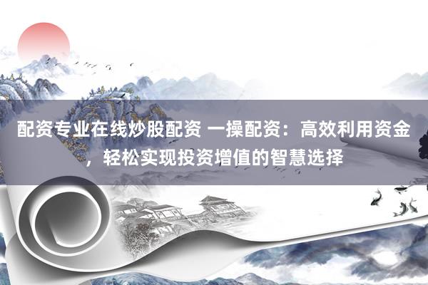 配资专业在线炒股配资 一操配资：高效利用资金，轻松实现投资增值的智慧选择