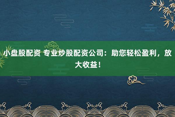 小盘股配资 专业炒股配资公司：助您轻松盈利，放大收益！