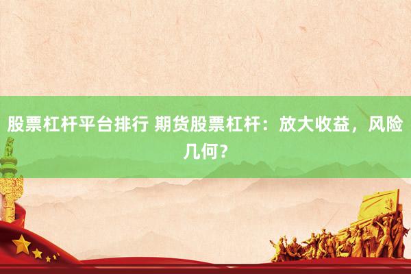 股票杠杆平台排行 期货股票杠杆：放大收益，风险几何？