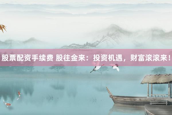 股票配资手续费 股往金来：投资机遇，财富滚滚来！