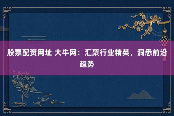 股票配资网址 大牛网：汇聚行业精英，洞悉前沿趋势