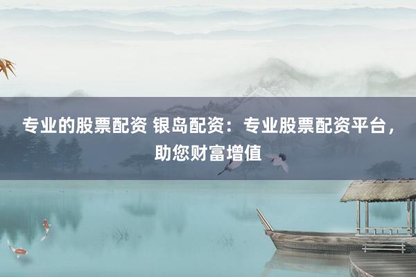 专业的股票配资 银岛配资：专业股票配资平台，助您财富增值