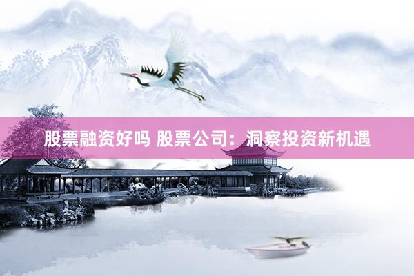 股票融资好吗 股票公司：洞察投资新机遇