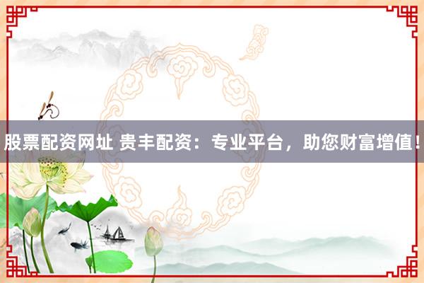 股票配资网址 贵丰配资：专业平台，助您财富增值！