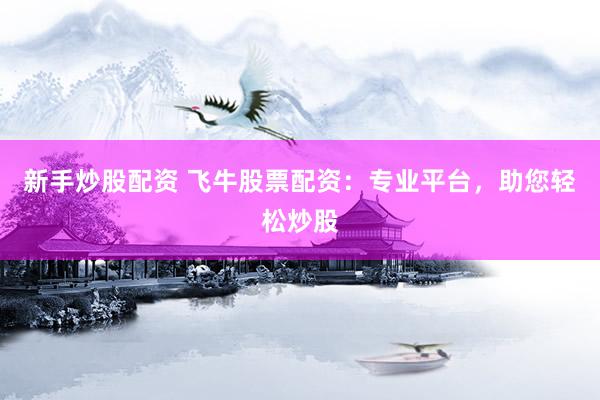 新手炒股配资 飞牛股票配资：专业平台，助您轻松炒股